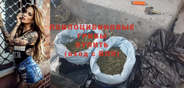 гашик Нязепетровск