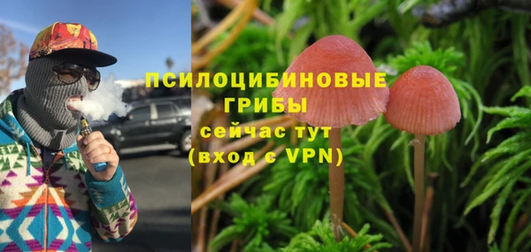 а пвп мука Няндома