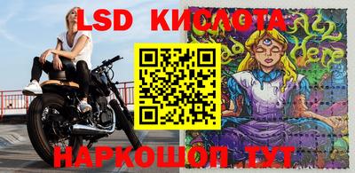 шишки Абакан